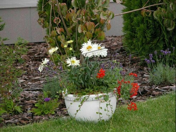 Decorative massive garden flower pot in antique style 23cm height, model - S204037