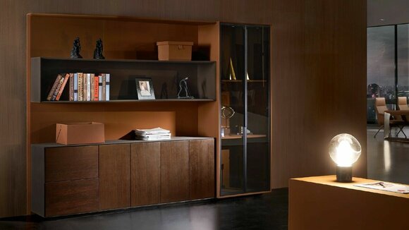 Books files cabinet shelf wall law firm practice company office furniture shelves