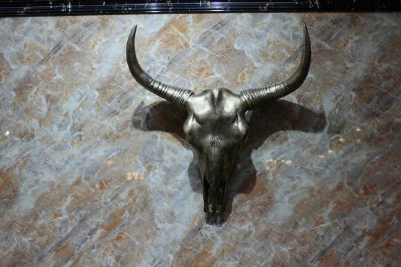 Buffalo Skull Buffalo Head Wall Decoration Antlers Horns Skeleton Indian Gold New Sofort