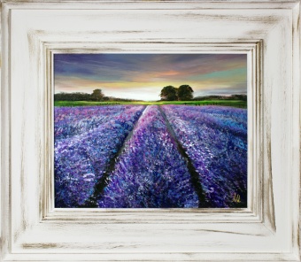 Lavender field Handmade Oil paintings Canvas Oil painting Picture G16366