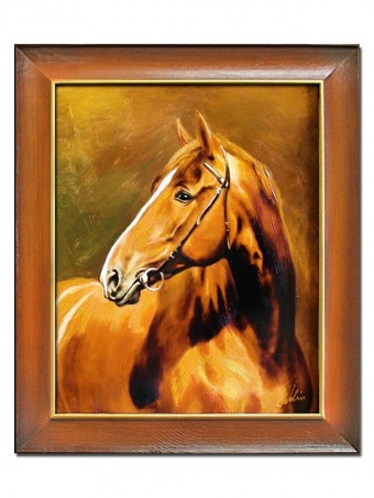 Horse portrait handcrafted oil paintings canvas oil painting picture G04032