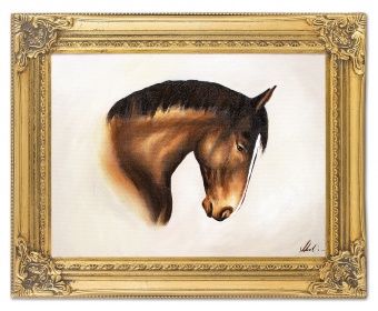 Horse portrait handmade oil paintings canvas oil painting picture G03829