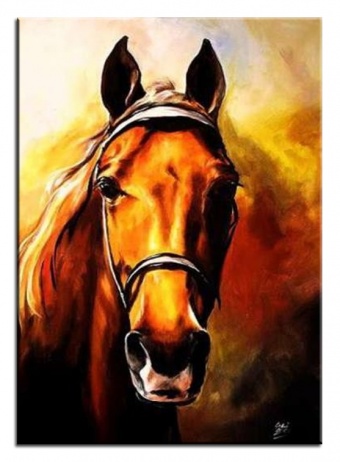 Horse portrait handmade oil paintings canvas oil painting picture G02115