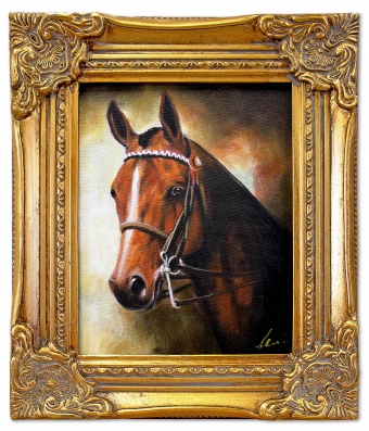 Horse in Portrait Handmade Oil Paintings Canvas Oil Painting Picture G05496