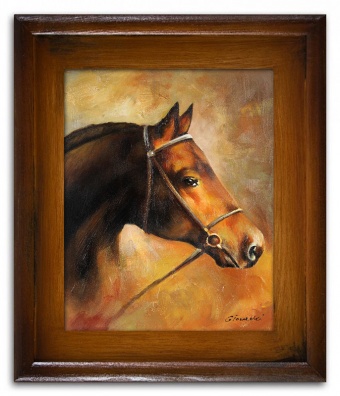 Horse portrait handmade oil paintings canvas oil painting picture G98954