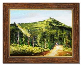 Mountain landscape handwork oil paintings canvas oil picture image G03719