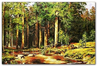 Forest landscape handmade oil paintings canvas oil picture image G119078