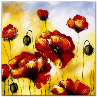 Red poppy flowers handmade oil paintings canvas oil painting picture G118497