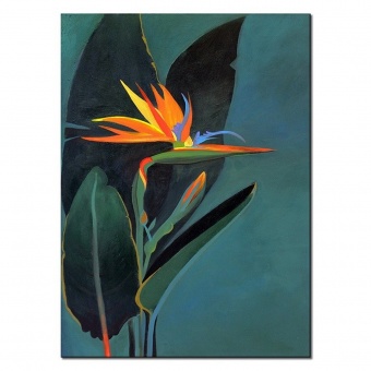 "Exotic Flower" Handcrafted Oil Paintings Canvas Oil Painting G118365