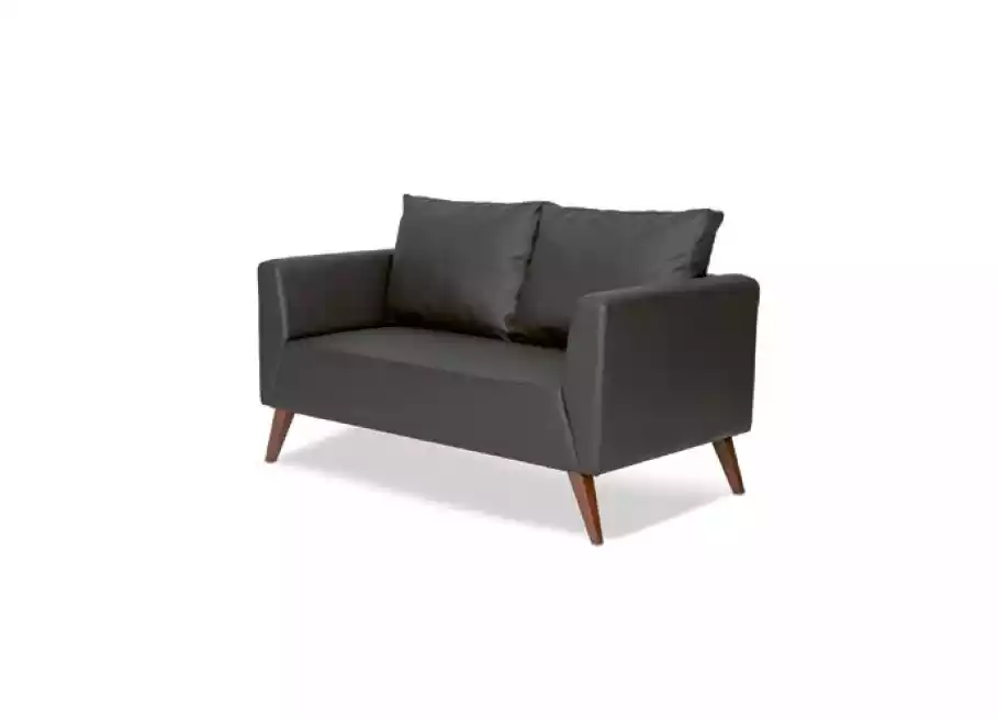 Stylish Two Seater Modern Black Couch Study Furniture Office