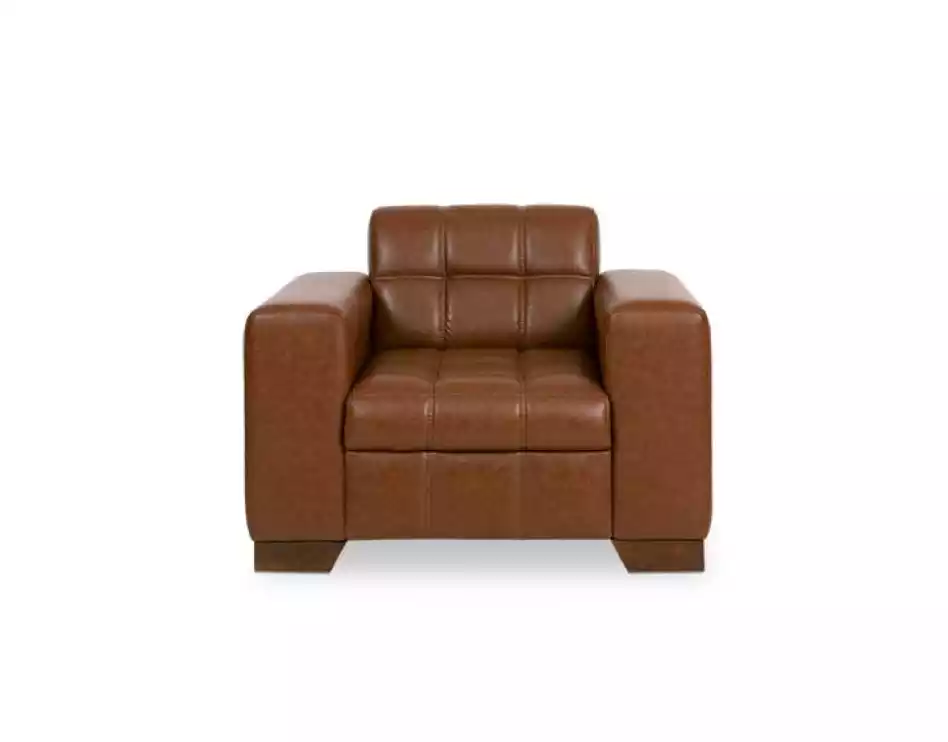 Brown Armchair Modern Design Seat Study New Upholstered Armchair