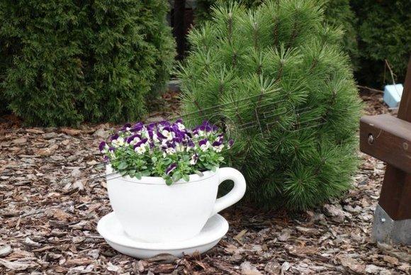 Flower pot plant pot decoration figure flower pots garden vases coffee cup