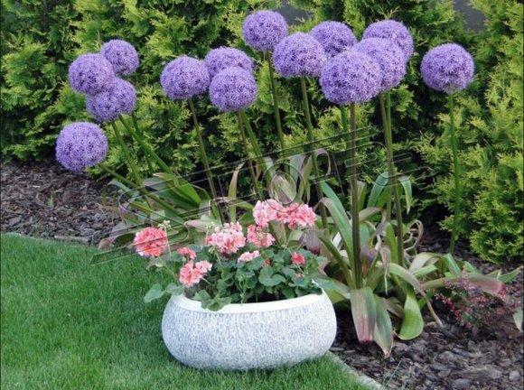 Flower pot plant pot decoration figure flower pots garden vases vessels 204052