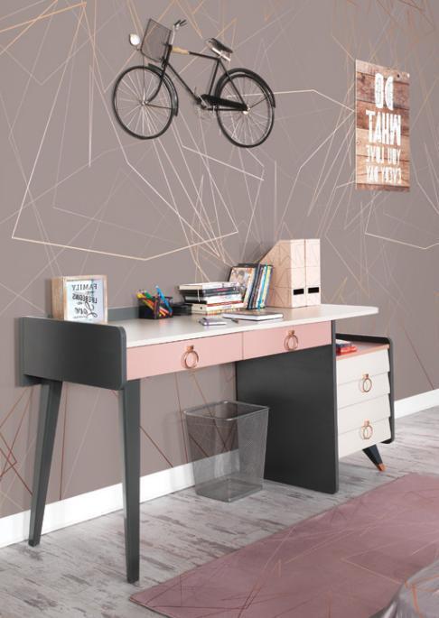 Secretariat Desk Design Luxurious Writing Furniture Wooden Desks