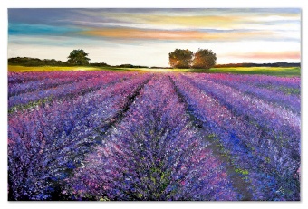 Lavender fields Handmade Oil paintings Canvas Oil painting Picture G119724