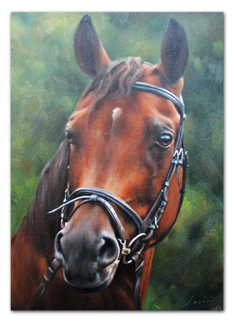 Horse portrait handmade oil paintings canvas oil painting picture G111510