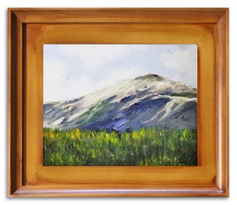 Mountain landscape handwork oil paintings canvas oil painting picture G06773