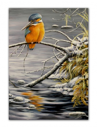 "Winter Kingfisher" Handcrafted Oil Paintings Canvas G116409