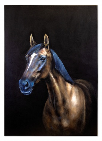 Horse portrait handmade oil paintings canvas oil painting image G119829