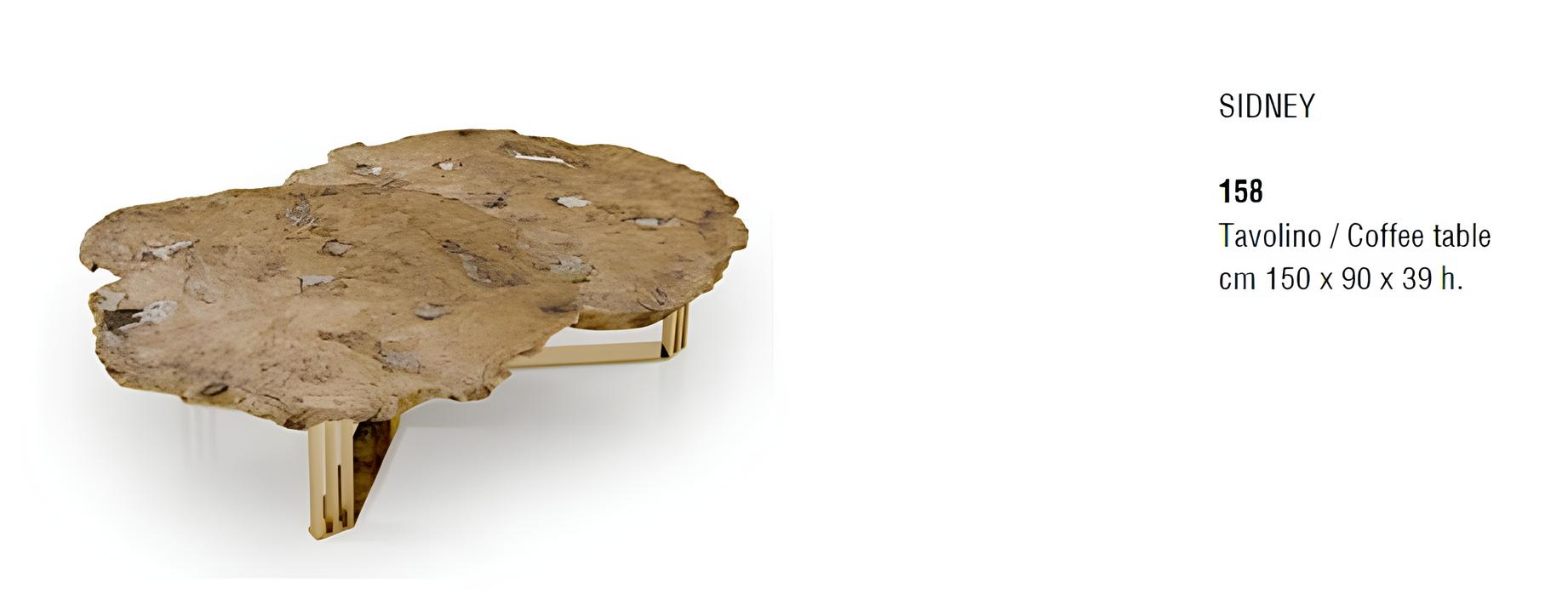 Coffee table wooden side table designer table living room table tables