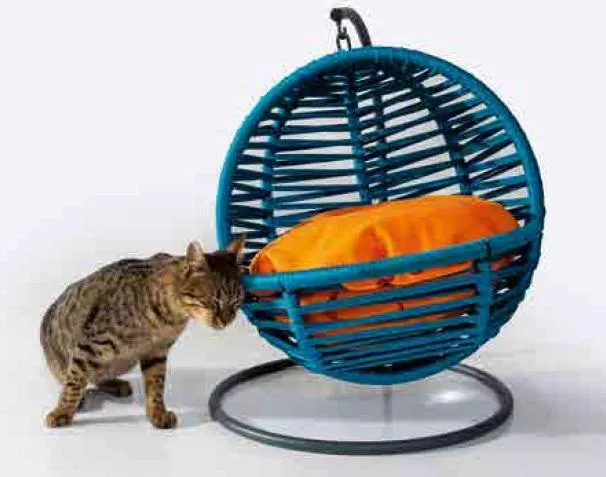 Blue Round Swing Cat Lounger Animal Accessories Luxury Modern Furniture