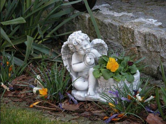 Decorative garden flower pot vase with angel figure statue made of weather-resistant cement model - 1010671