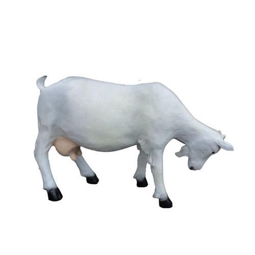 Decorative sculpture designed as white colored head down goat 85 cm height