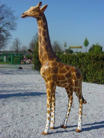 Design massive giraffe figurine decorative garden sculpture 210cm height