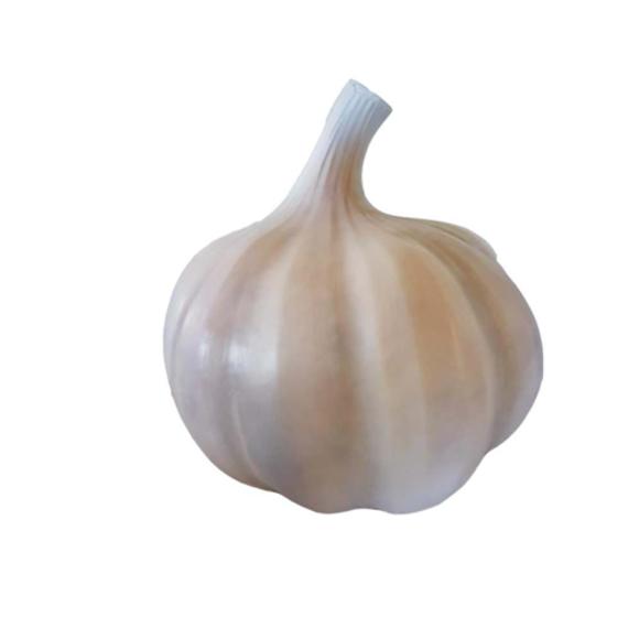 Decorative figure designed as an original colored white garlic 90cm