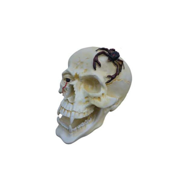 Decorative figure designed as a white skull with eye & crab 44cm N87