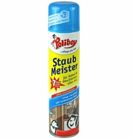 Dust Master Spray 300ml